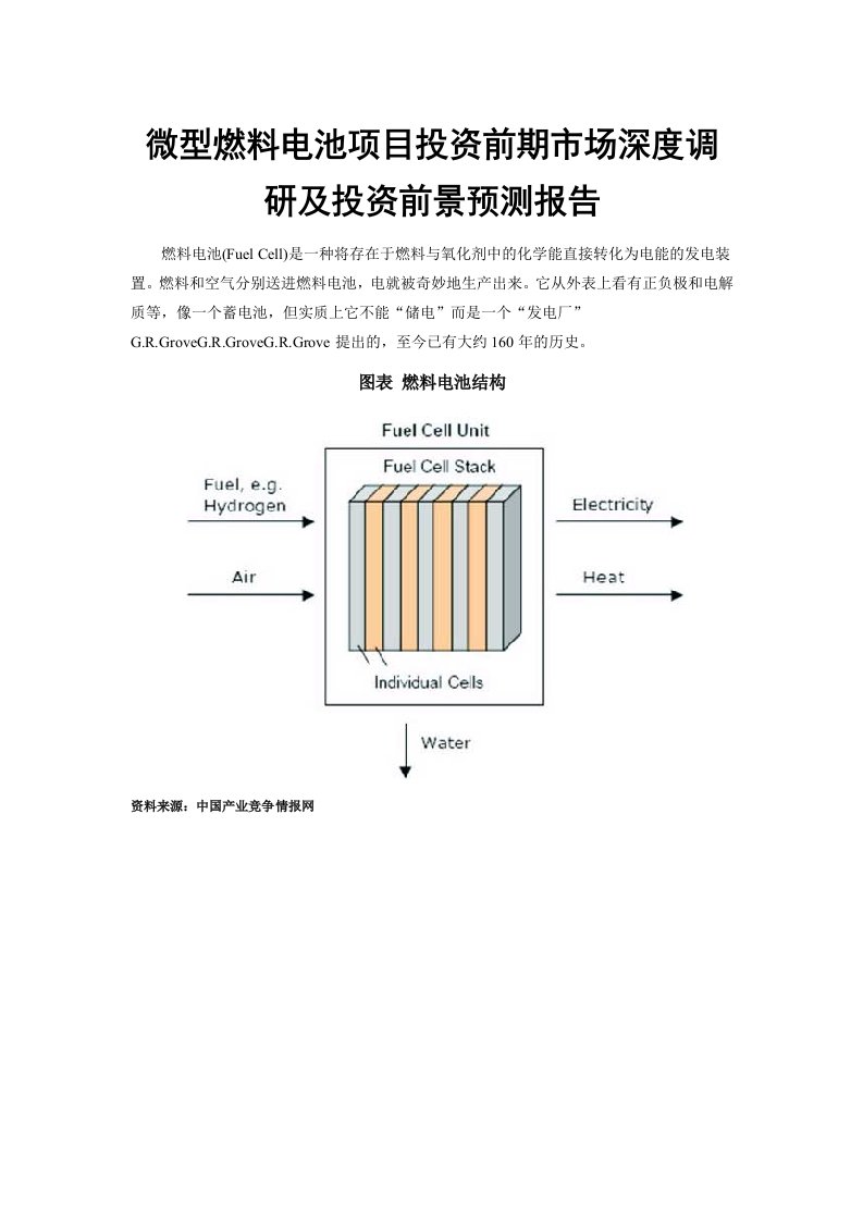 微型燃料电池项目投资前期市场深度调研及投资前景预测报告