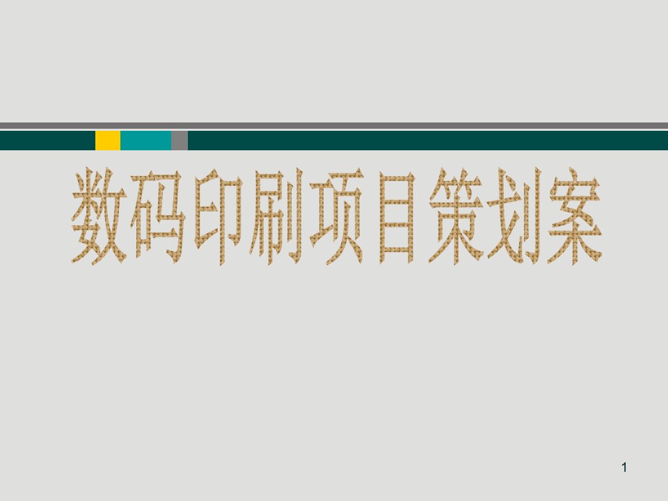 包装印刷数码印刷项目策划案