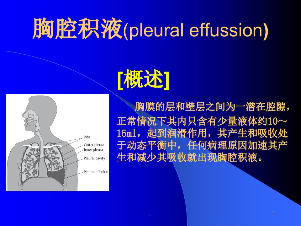 胸腔积液PPT课件