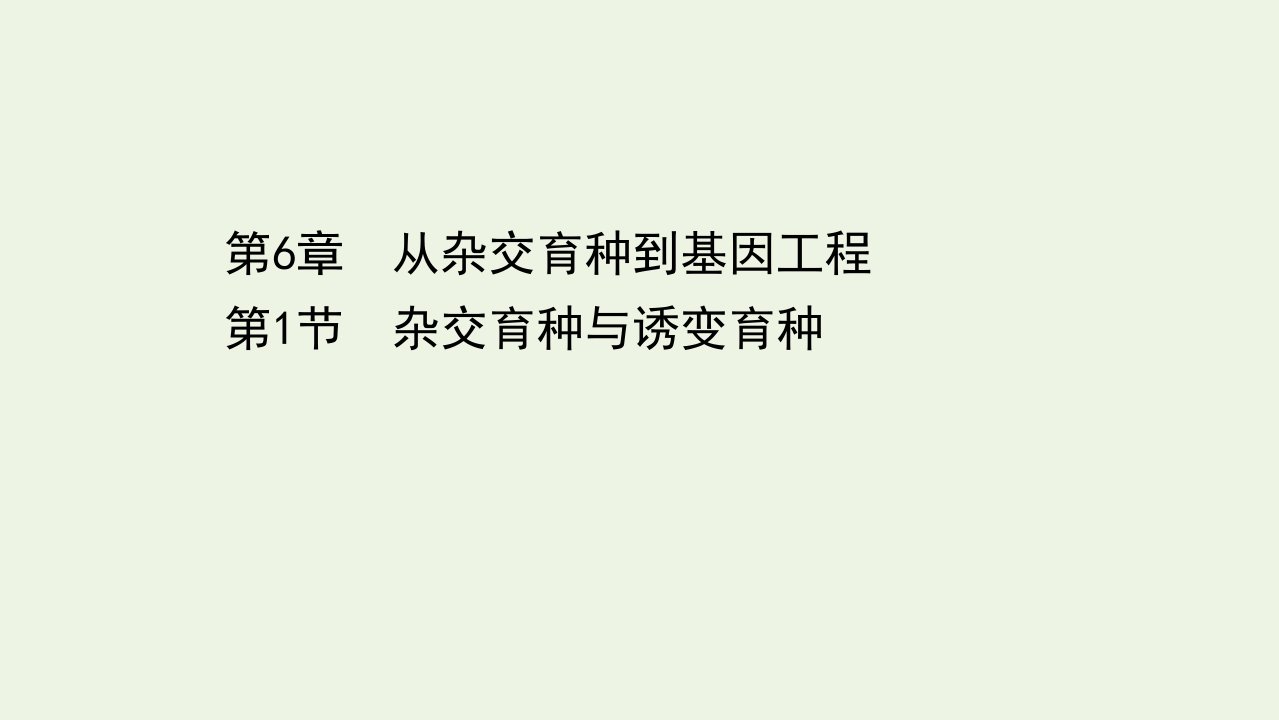 高中生物第6章从杂交育种到基因工程1杂交育种与诱变育种课件1新人教版必修2