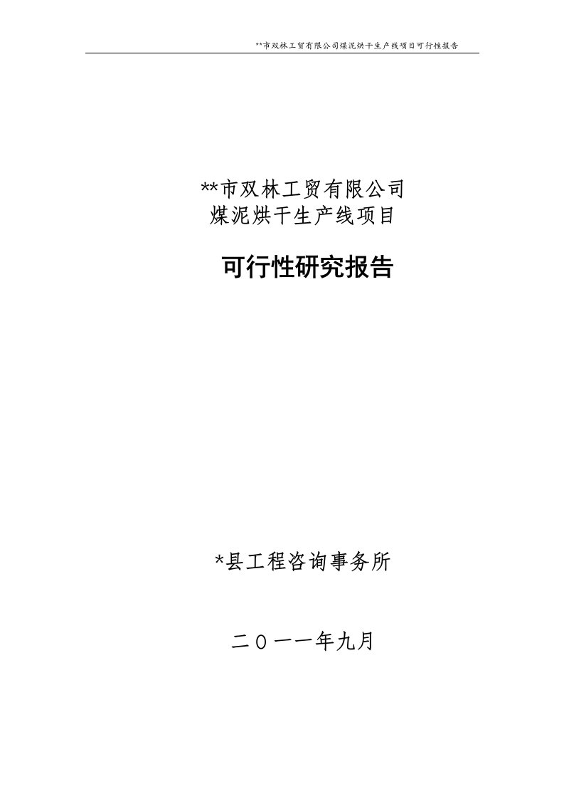 双林煤泥烘干项目可行性研究报告