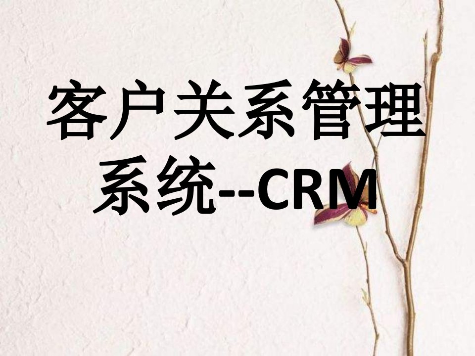 客户关系管理系统-CRM