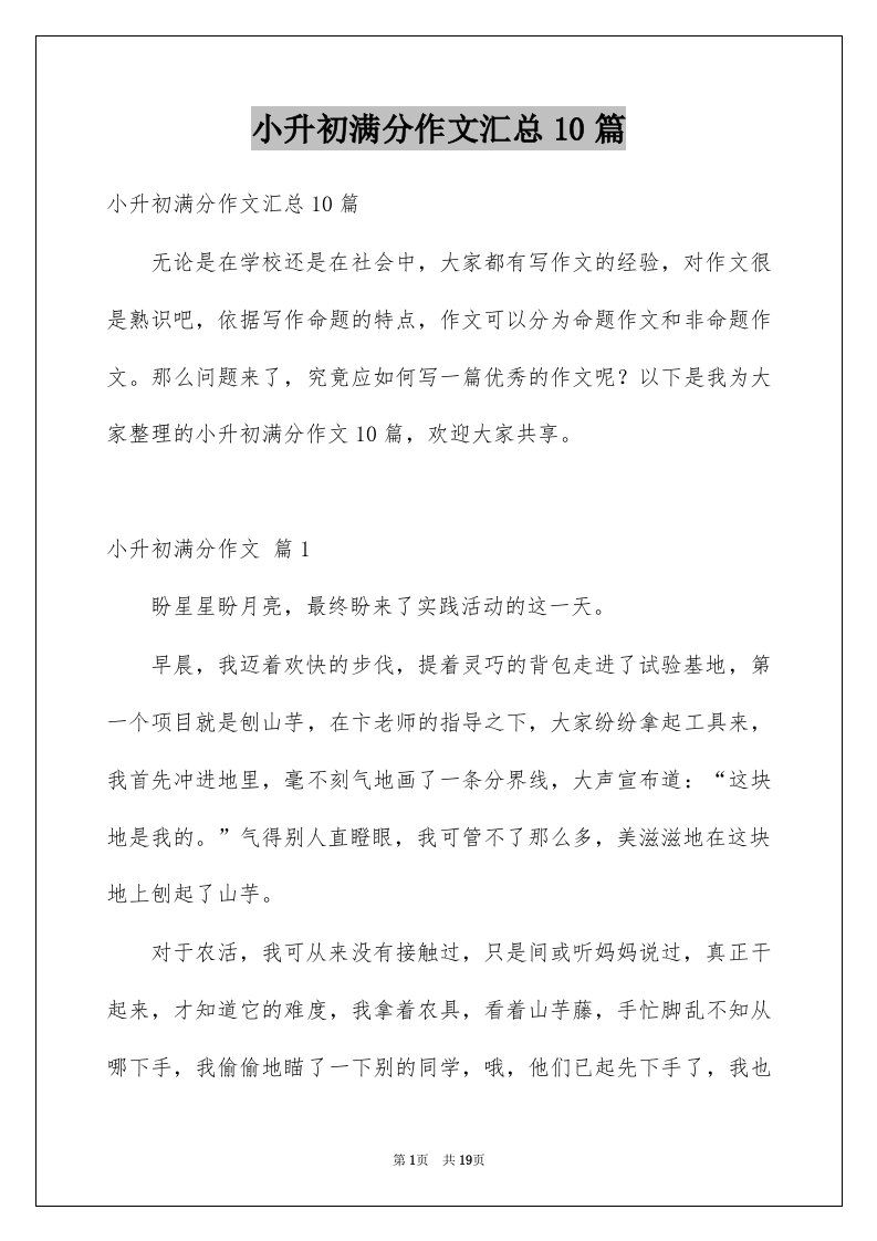 小升初满分作文汇总10篇精选