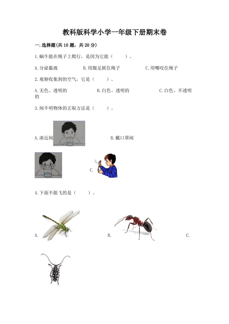 教科版科学小学一年级下册期末卷及答案【各地真题】