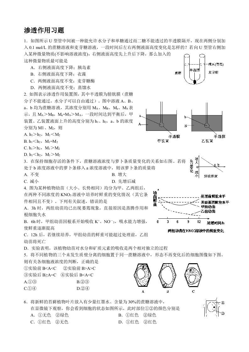 渗透作用习题