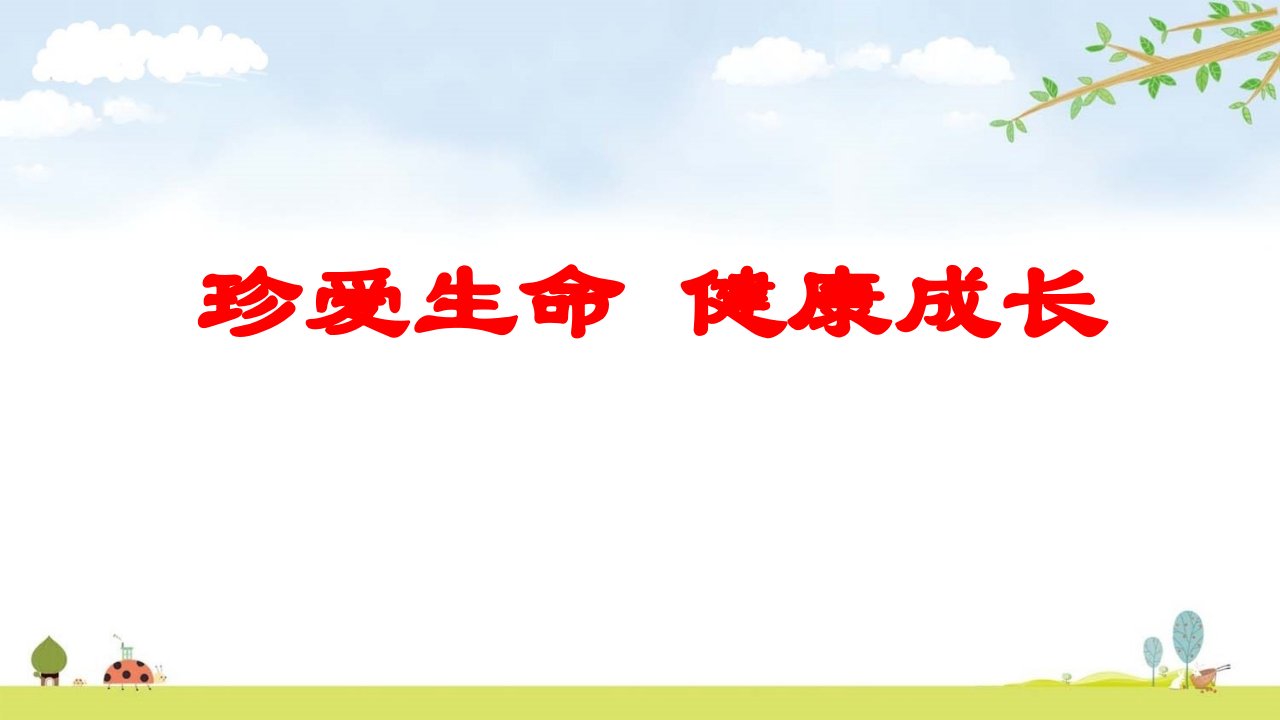 珍爱生命健康成长主题班会ppt课件