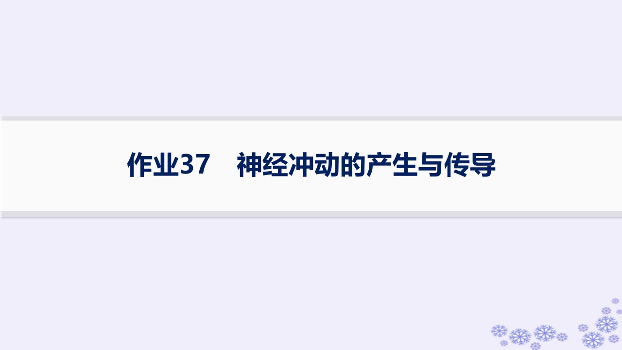 适用于新高考新教材浙江专版2025届高考生物一轮总复习第7单元稳态与调节作业37神经冲动的产生与传导课件浙科版