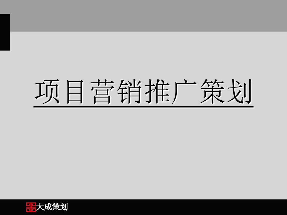 项目营销推广策划