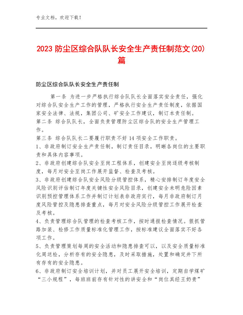 2023防尘区综合队队长安全生产责任制范文(20)篇