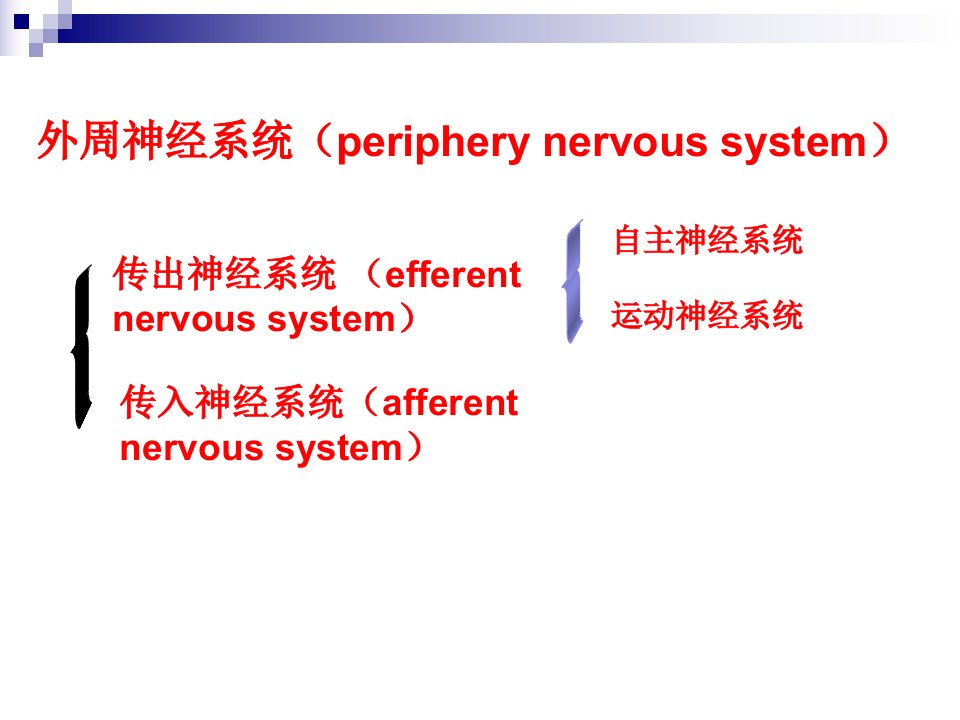 传出神经药理