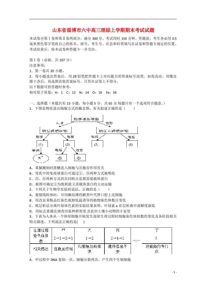 山东省淄博市六中高三理综上学期期末考试试题