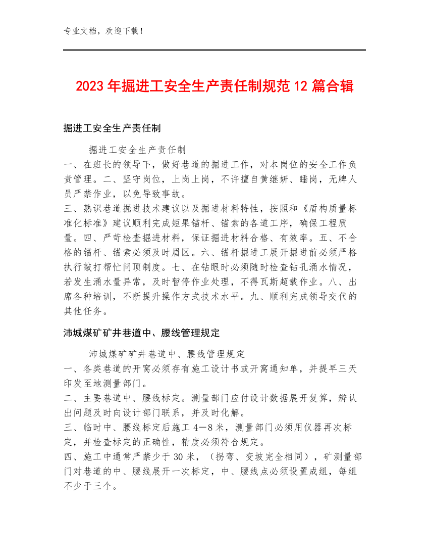 2023年掘进工安全生产责任制规范12篇合辑