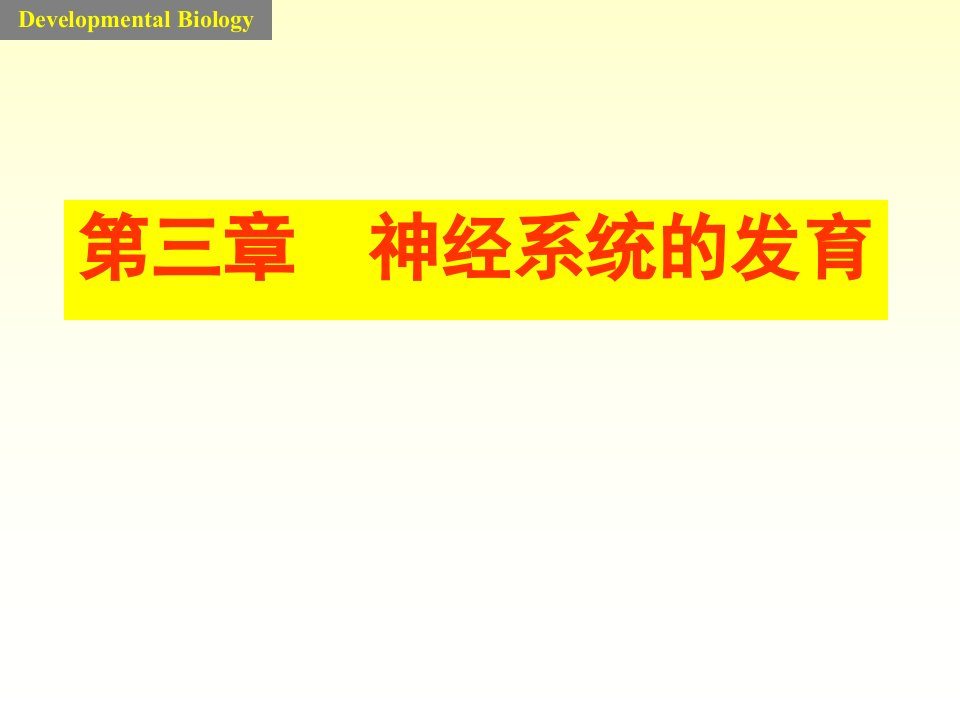 发育生物学课件神经系统的发育