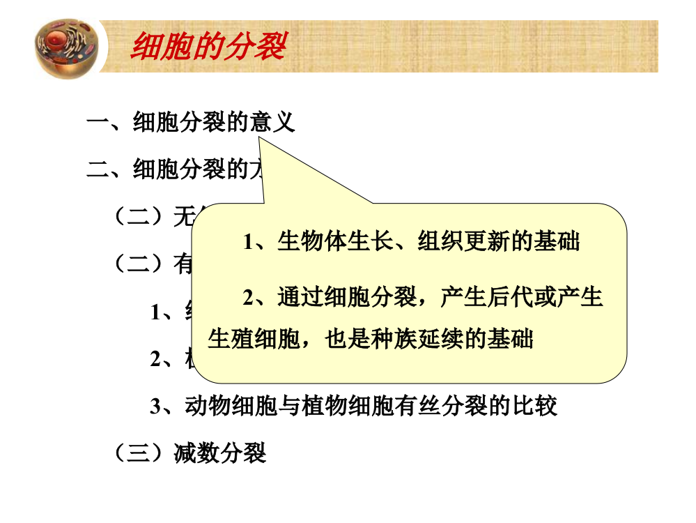 细胞的增殖细胞的分化癌变和衰老