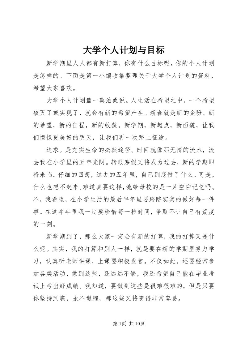 大学个人计划与目标