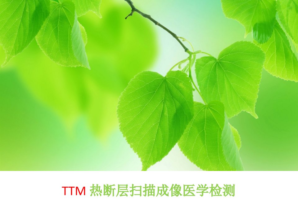 TTM热断层扫描成像医学检测