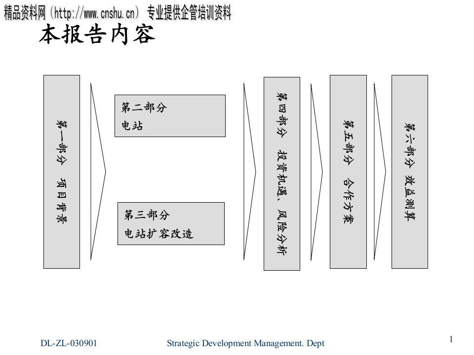 某电站尽职调查报告