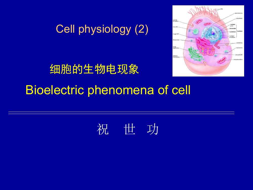 胞生理学(2n)