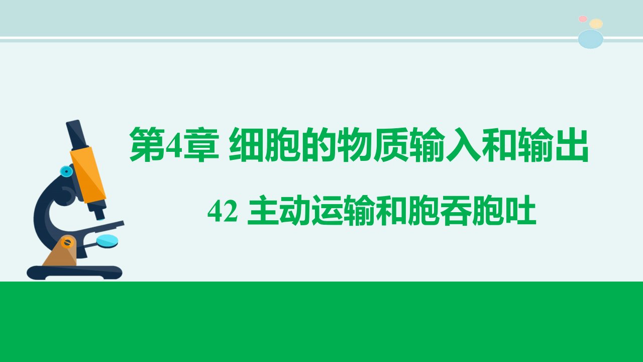 主动运输与胞吞胞吐一等奖-完整版课件