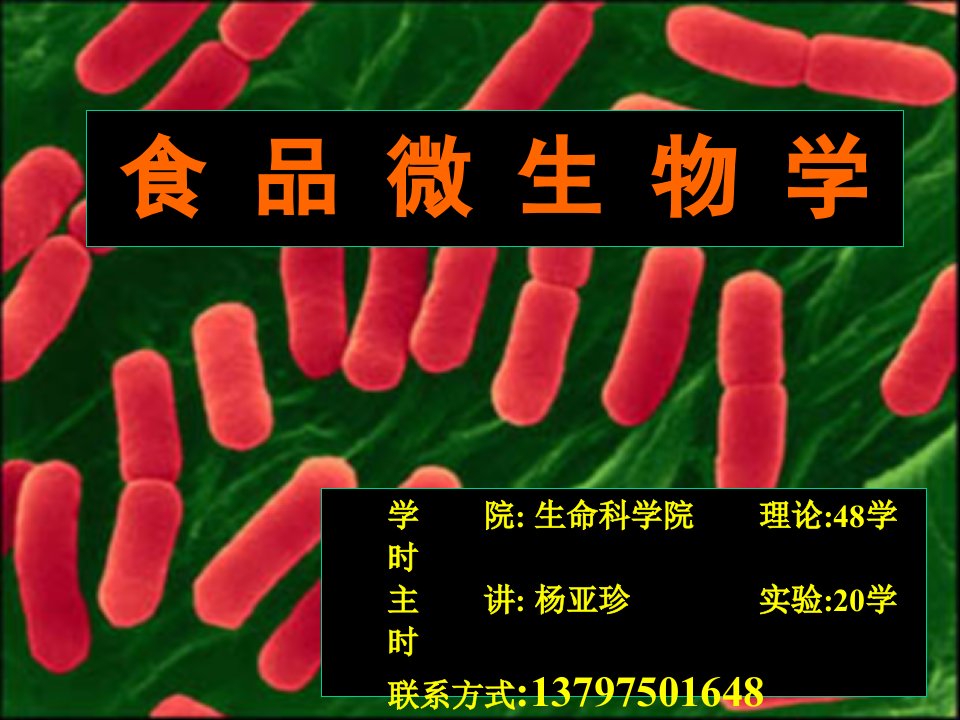 生物科技-微生物学绪论11