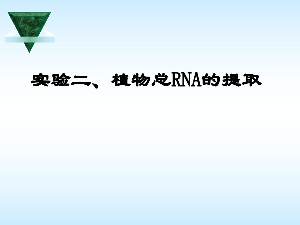 实验二植物总rna的提取