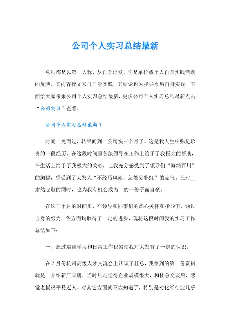 公司个人实习总结最新