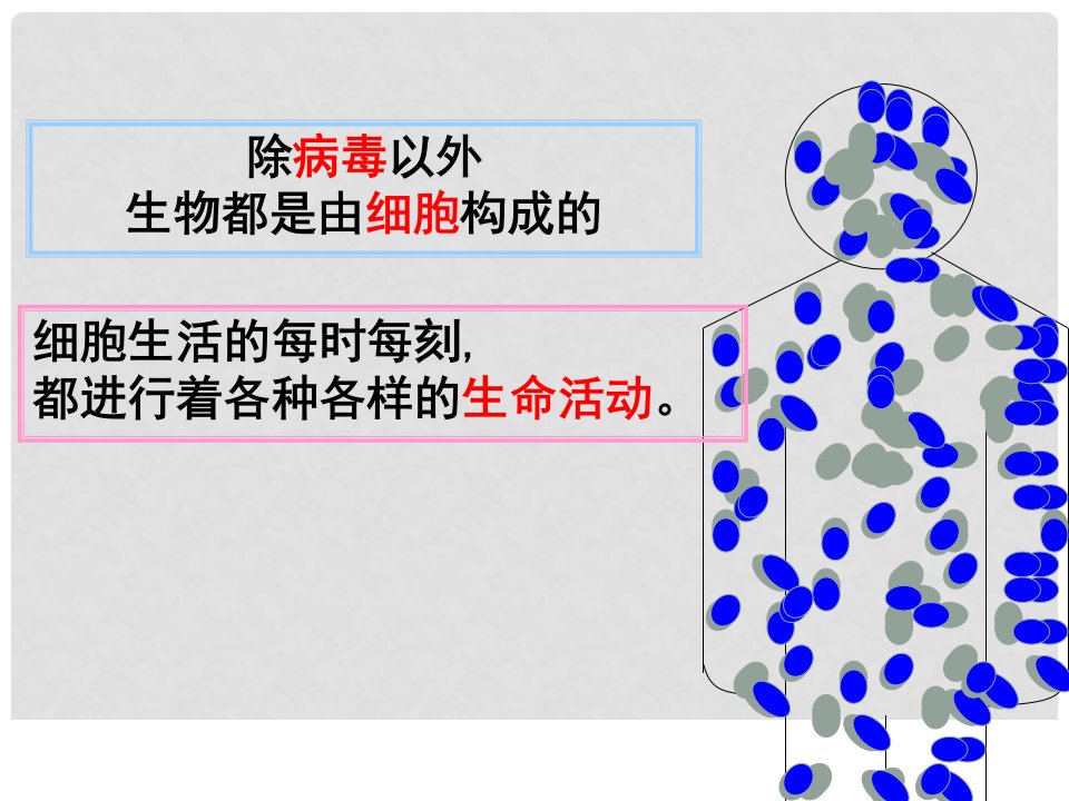 广东省汕头市七年级生物上册