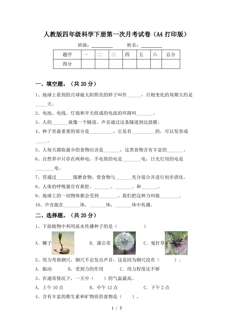 人教版四年级科学下册第一次月考试卷A4打印版