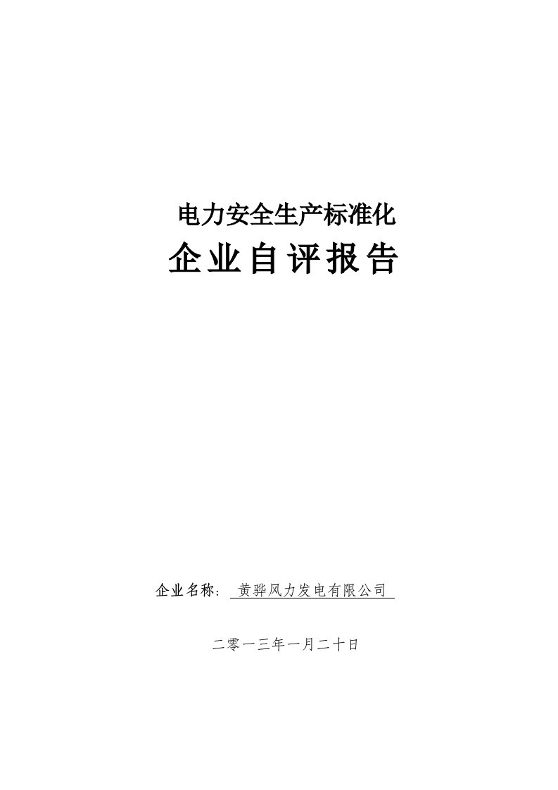 黄骅风电场安全生产标准化自评报告