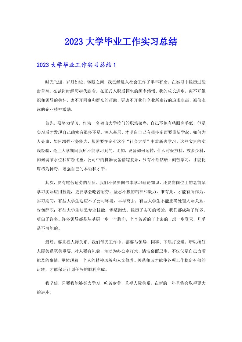 2023大学毕业工作实习总结