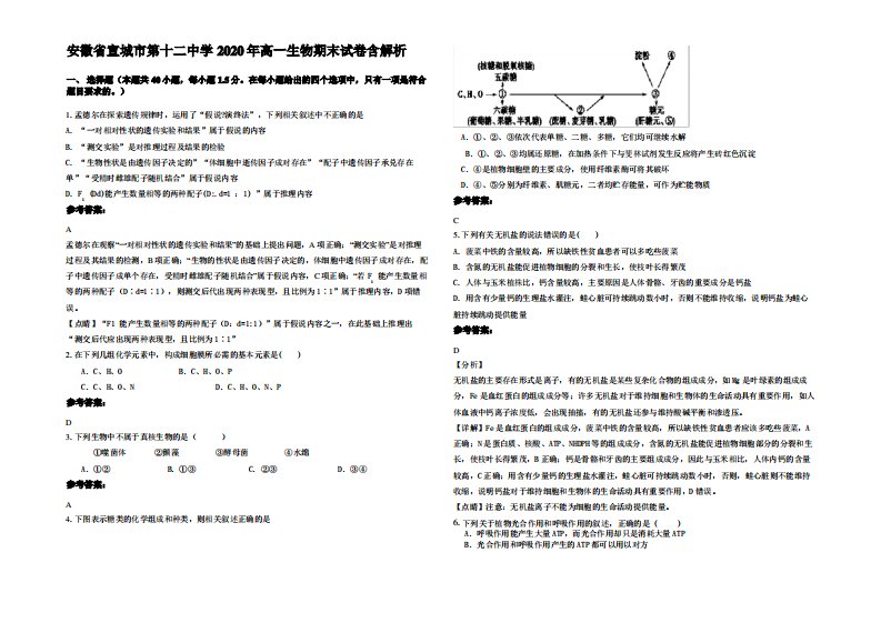 安徽省宣城市第十二中学2020年高一生物期末试卷含解析