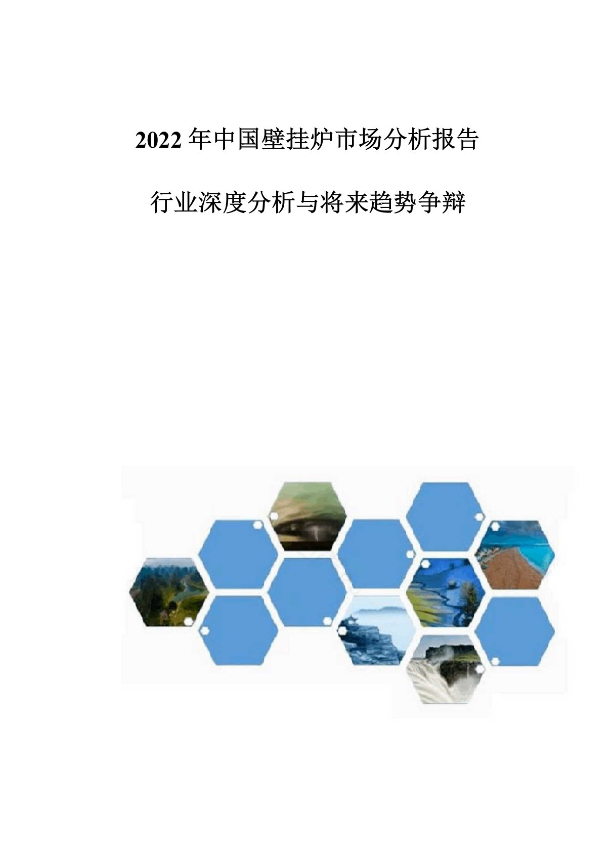 中国壁挂炉市场分析报告-行业深度分析与未来趋势研究