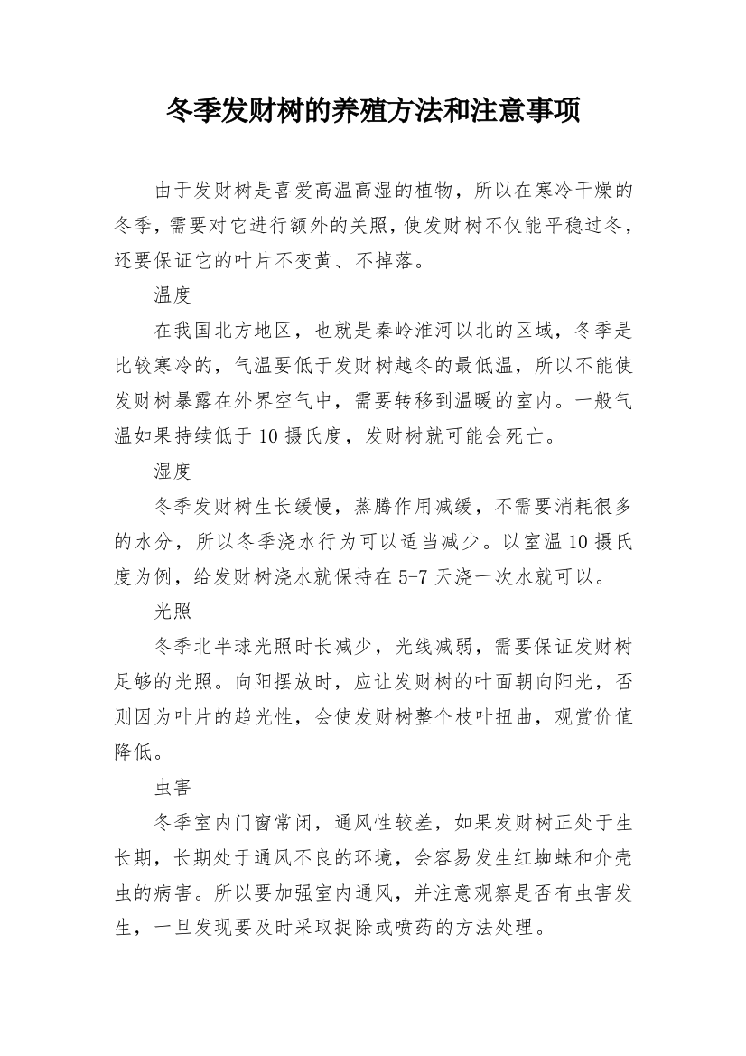 冬季发财树的养殖方法和注意事项