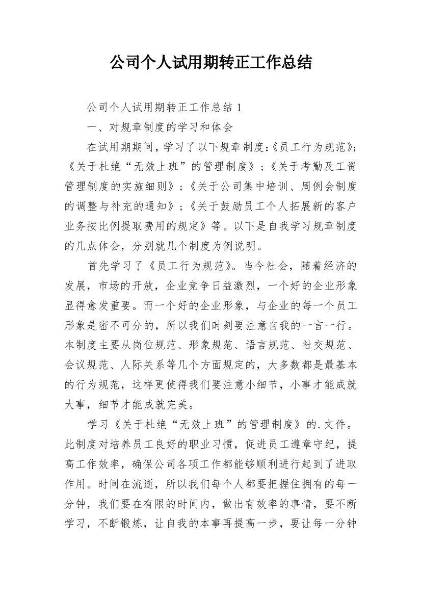 公司个人试用期转正工作总结