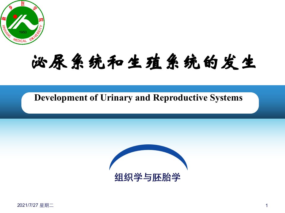 齐鲁医学泌尿系统和生殖系统的发生