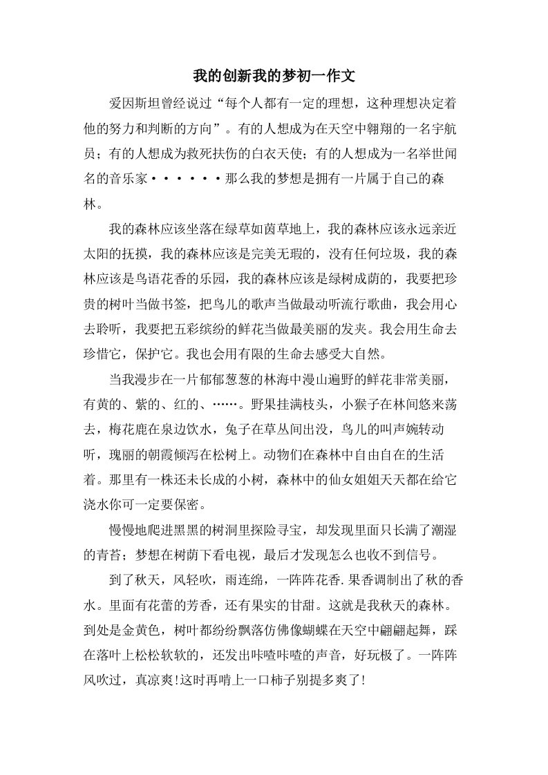 我的创新我的梦初一作文