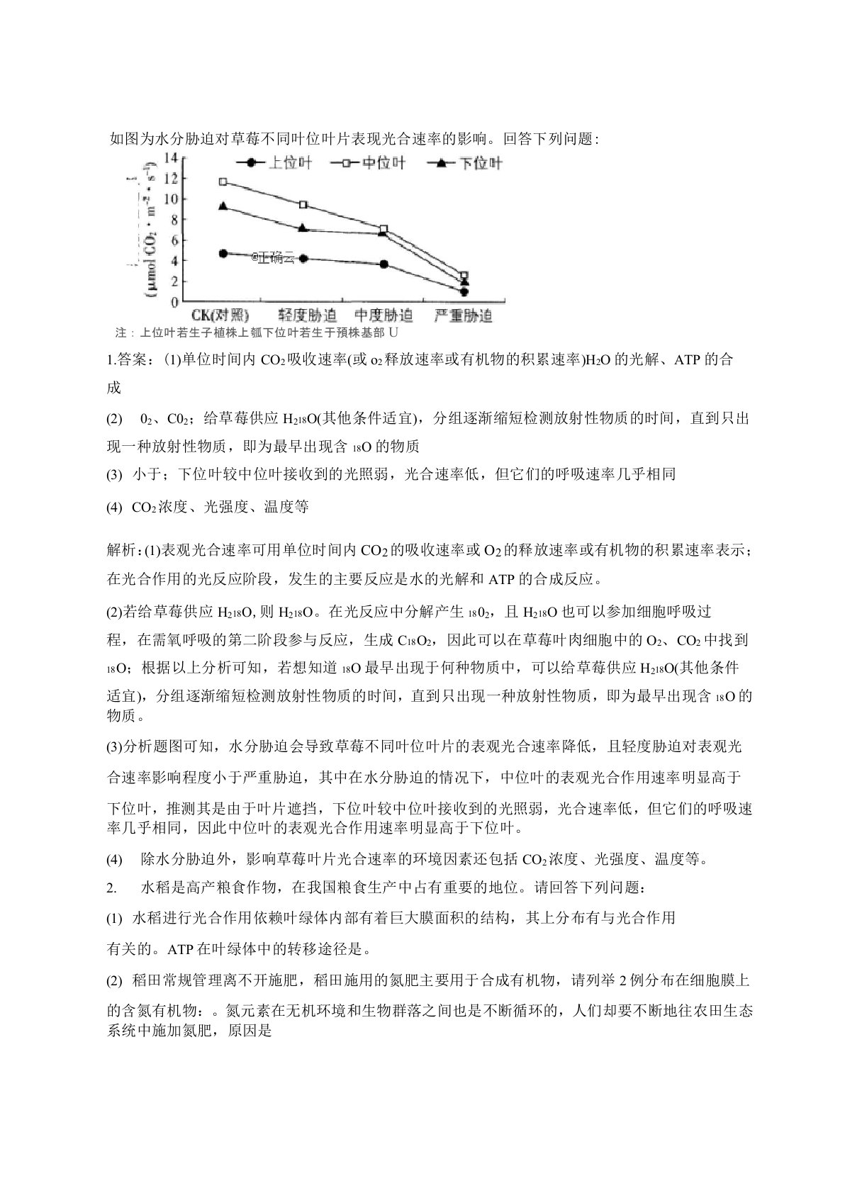 高中生物光合作用大题50道