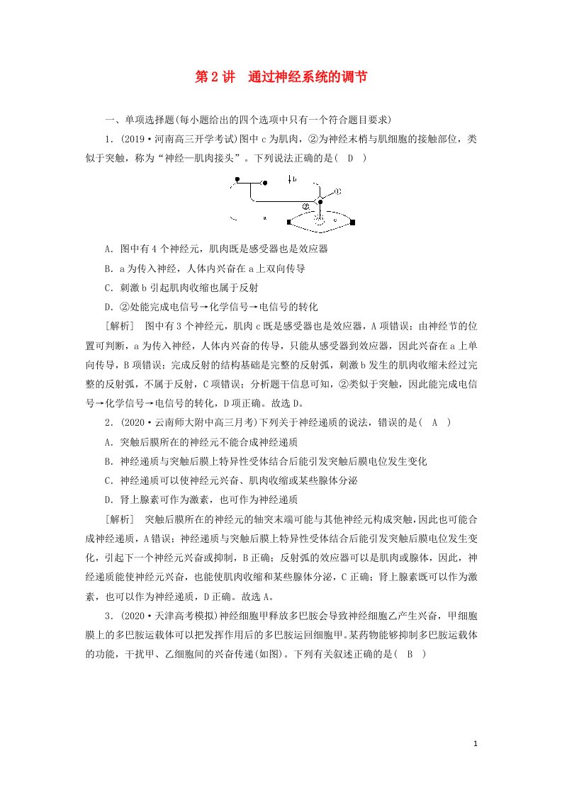 新高考2021高考生物一轮复习练习24通过神经系统的调节含解析新人教版