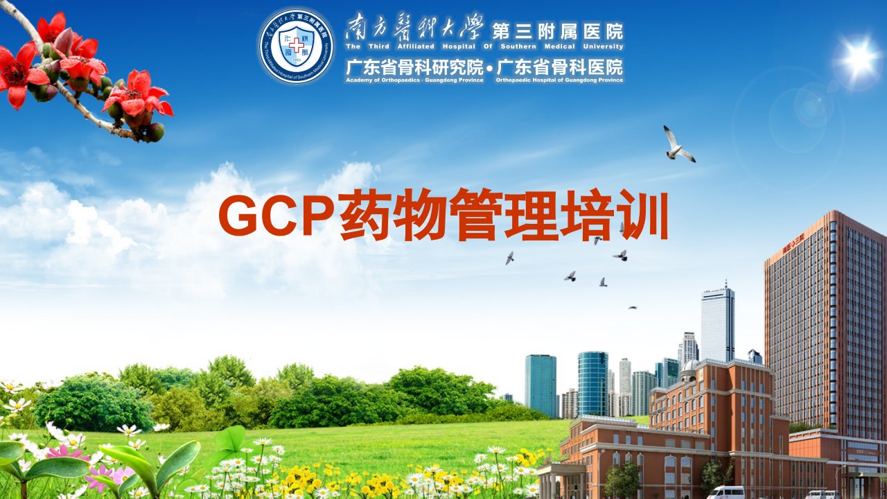 GCP药物管理培训课件