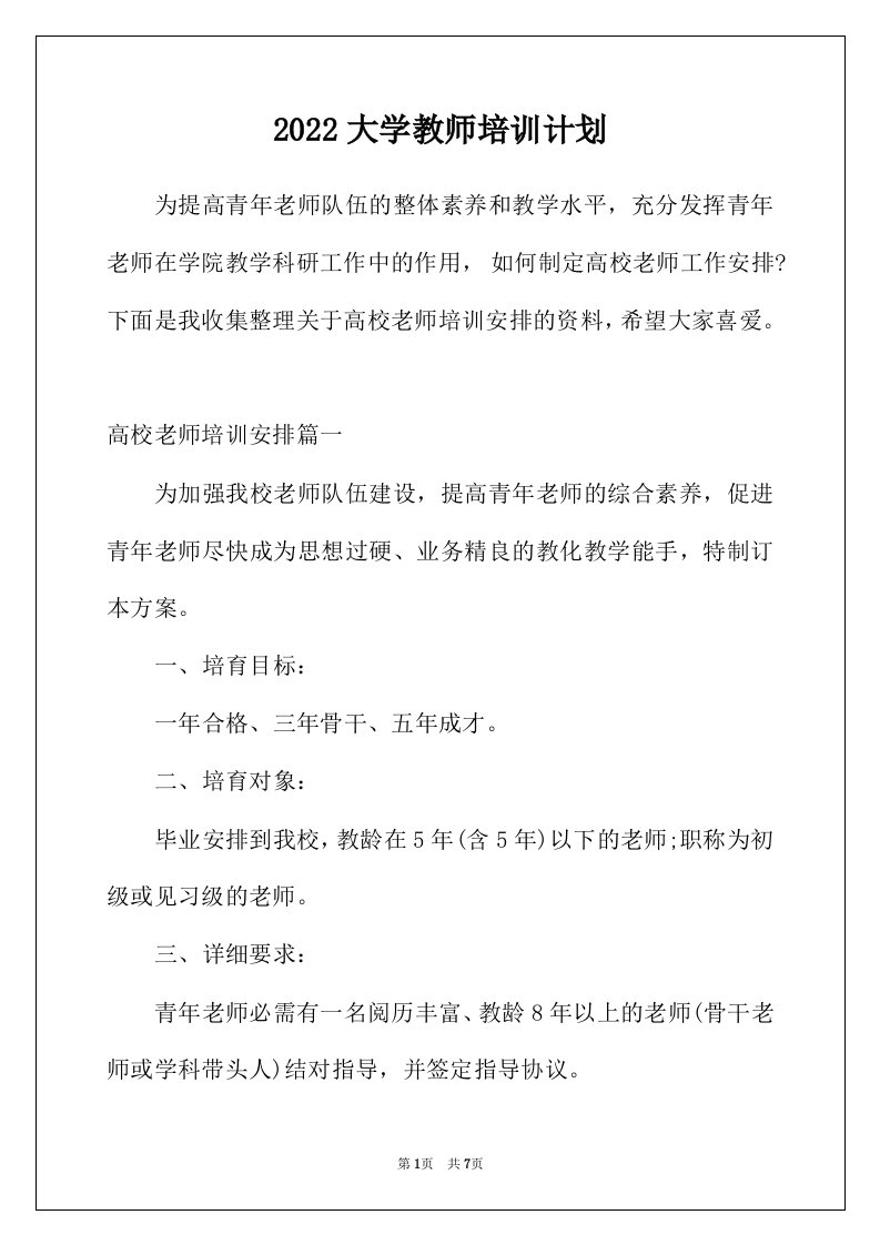 2022年大学教师培训计划