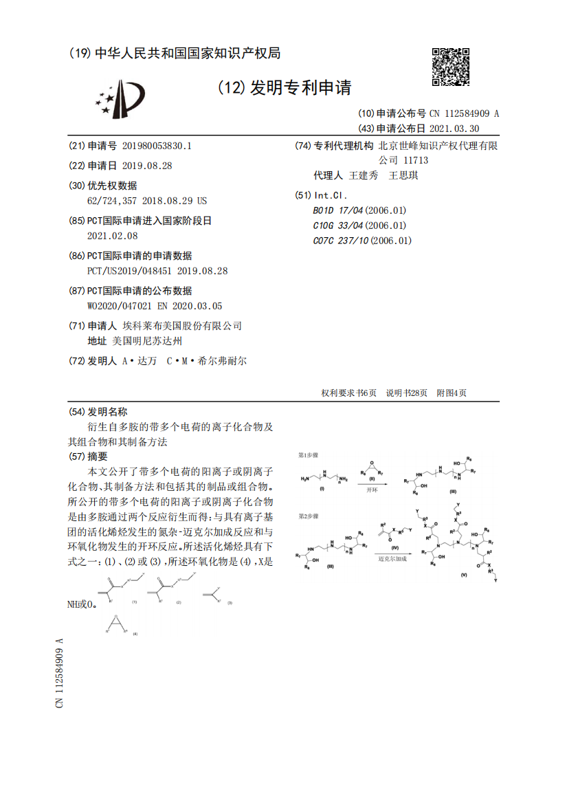 衍生自多胺的带多个电荷的离子化合物及其组合物和其制备方法