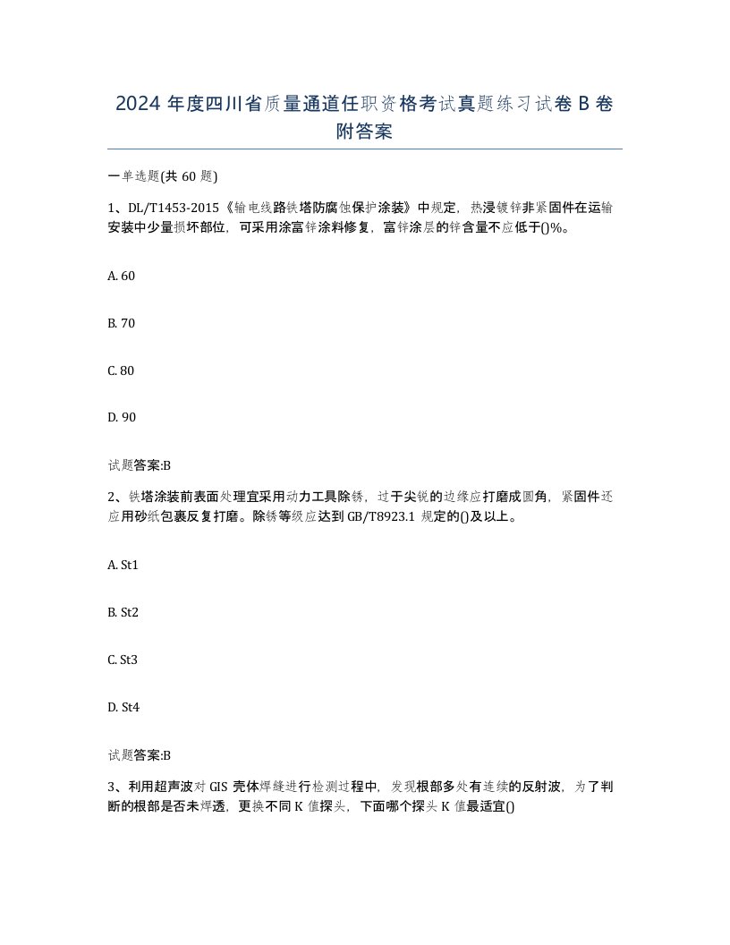 2024年度四川省质量通道任职资格考试真题练习试卷B卷附答案