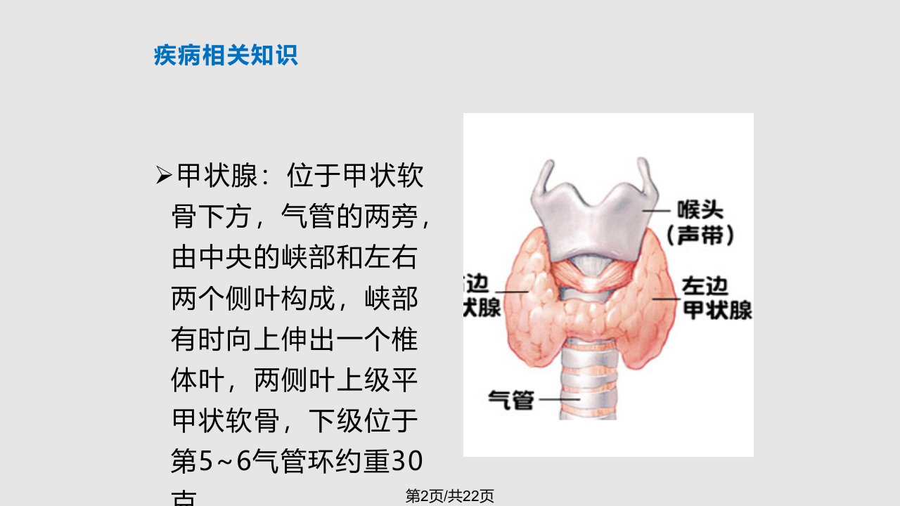 甲状腺学习课件