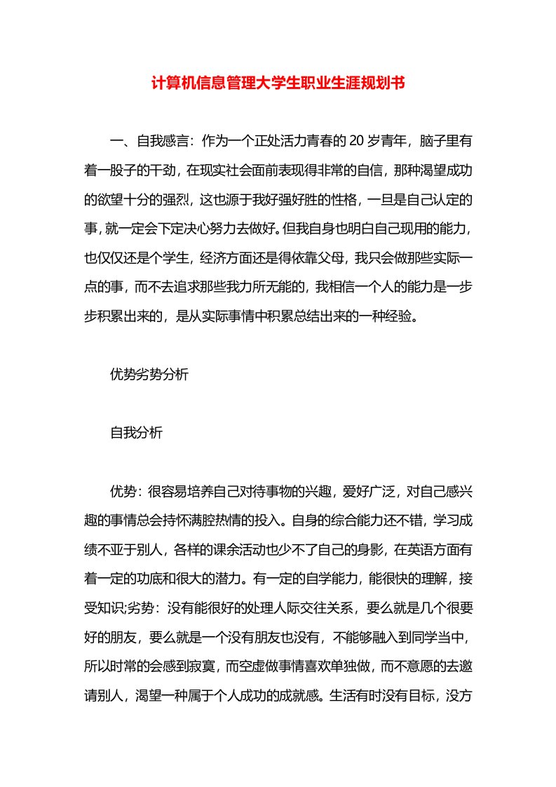 计算机信息管理大学生职业生涯规划书