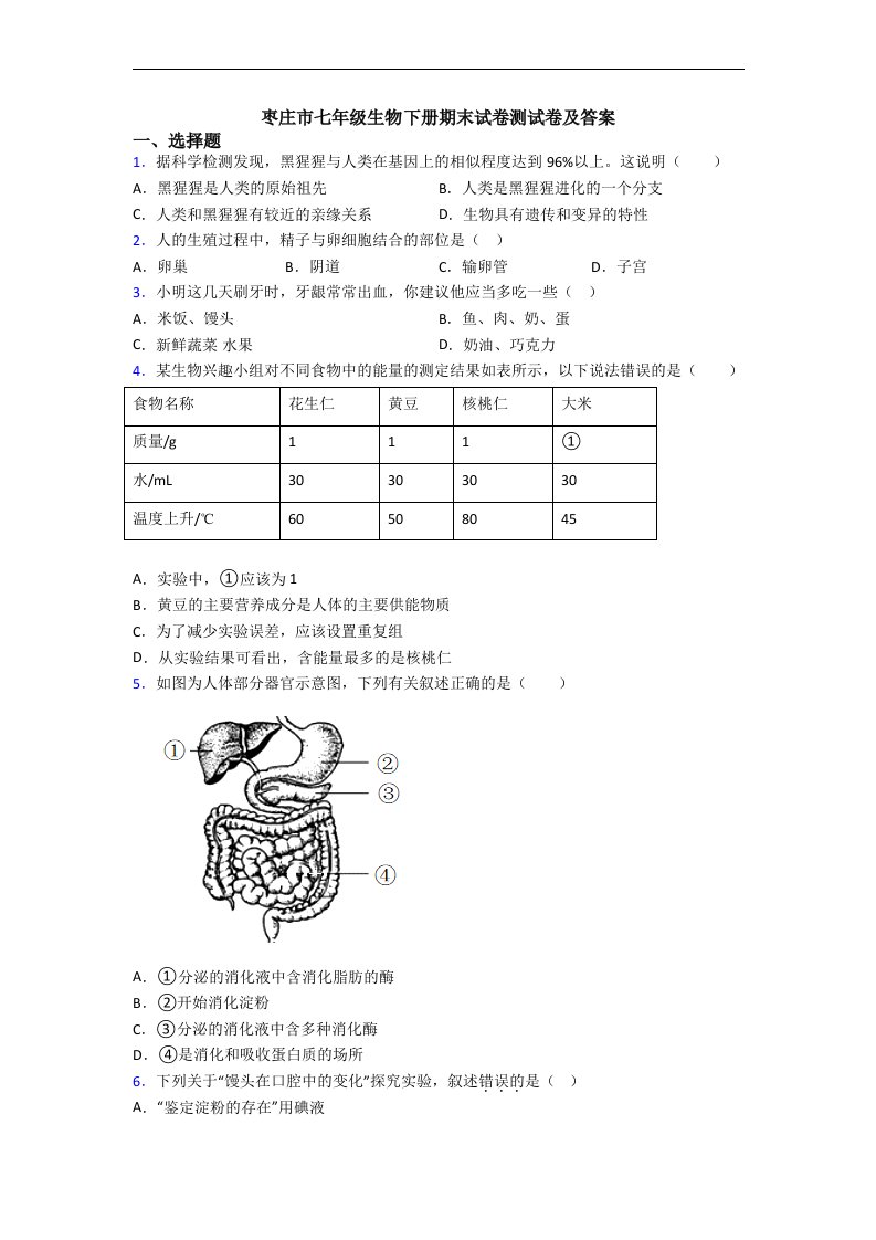 枣庄市七年级生物下册期末试卷测试卷及答案