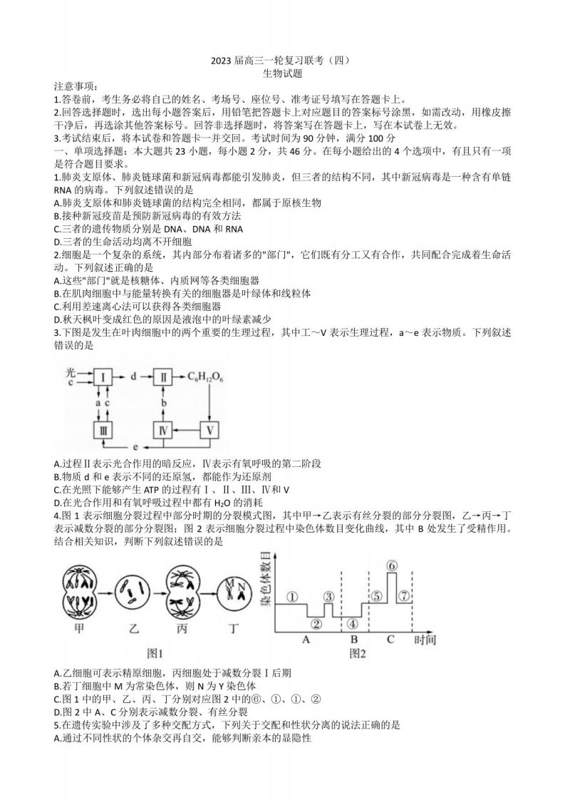 2023届山西省部分学校高三一轮复习联考（四）生物试题（含解析）