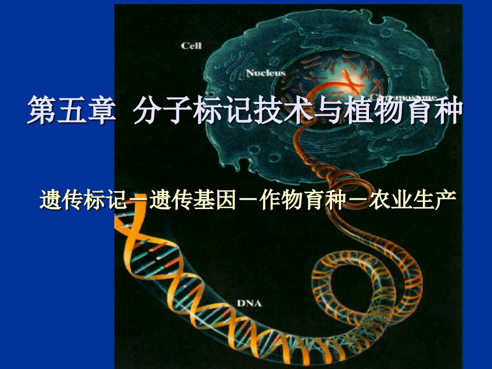 分子标记技术与植物育种