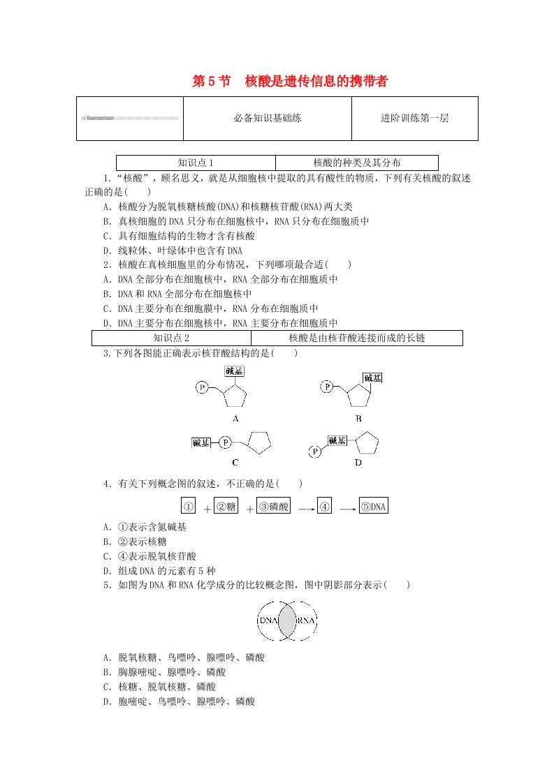 2023_2024学年新教材高中生物第2章组成细胞的分子2.5核酸是遗传信息的携带者课时作业新人教版必修1