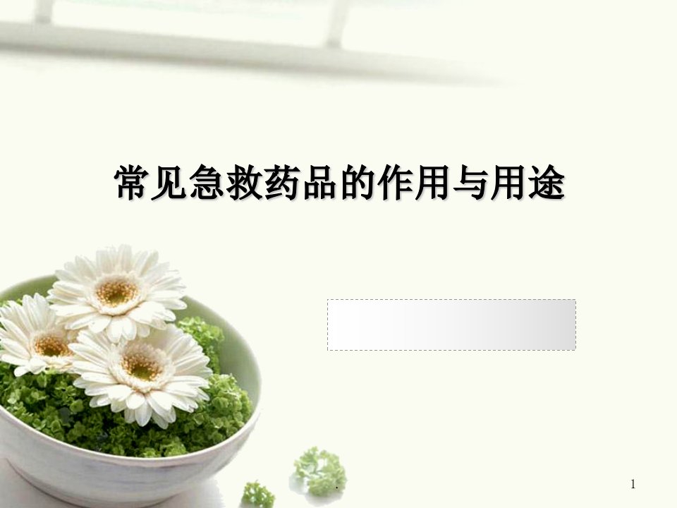 常见急救药品的作用与用途ppt课件