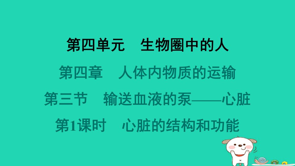 2024七年级生物下册第四单元生物圈中的人第四章人体内物质的运输第三节输送血液的泵__心脏第1课时心脏的结构和功能习题课件新版新人教版